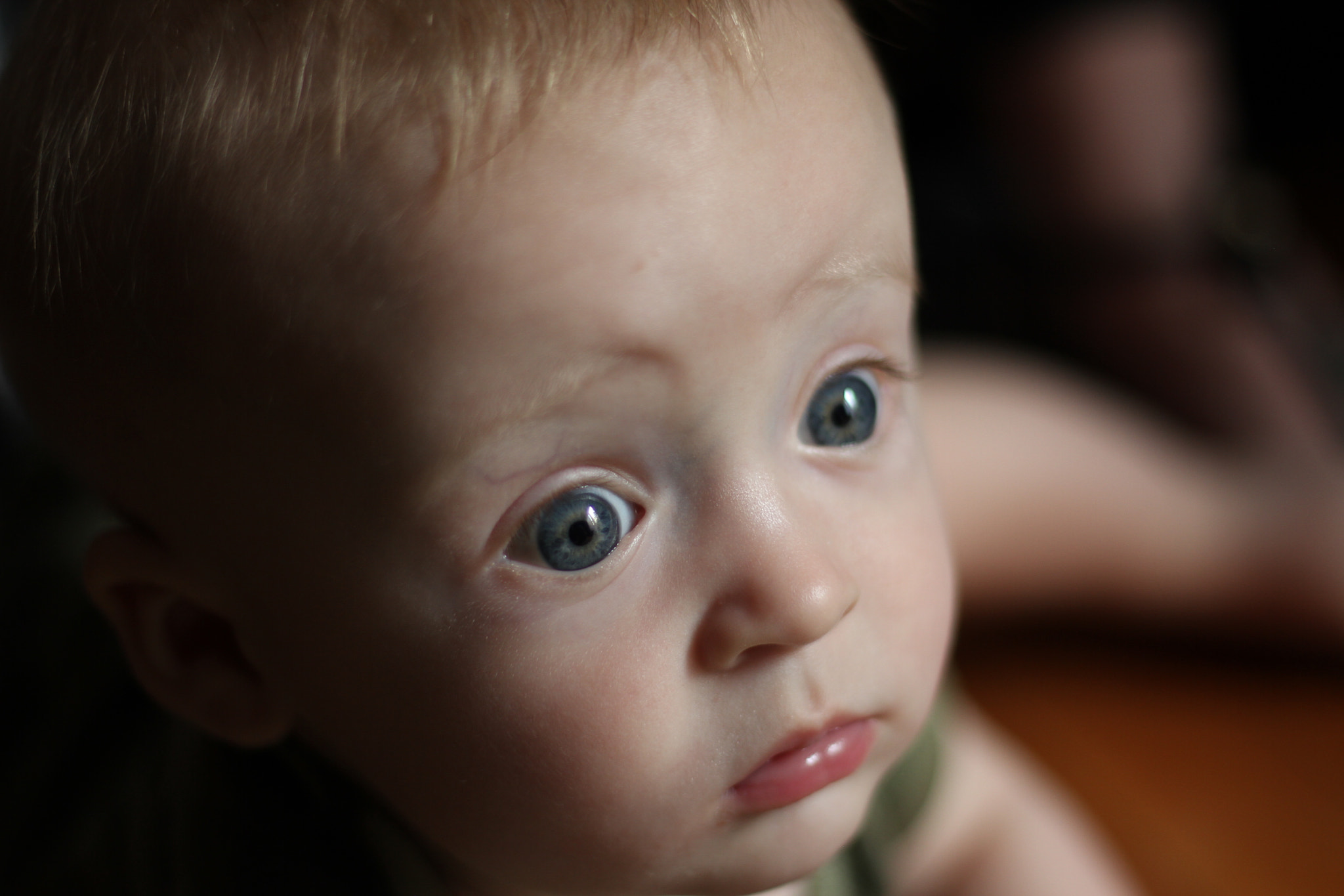 Canon EOS 7D + Canon EF 50mm F1.8 STM sample photo. Img photography