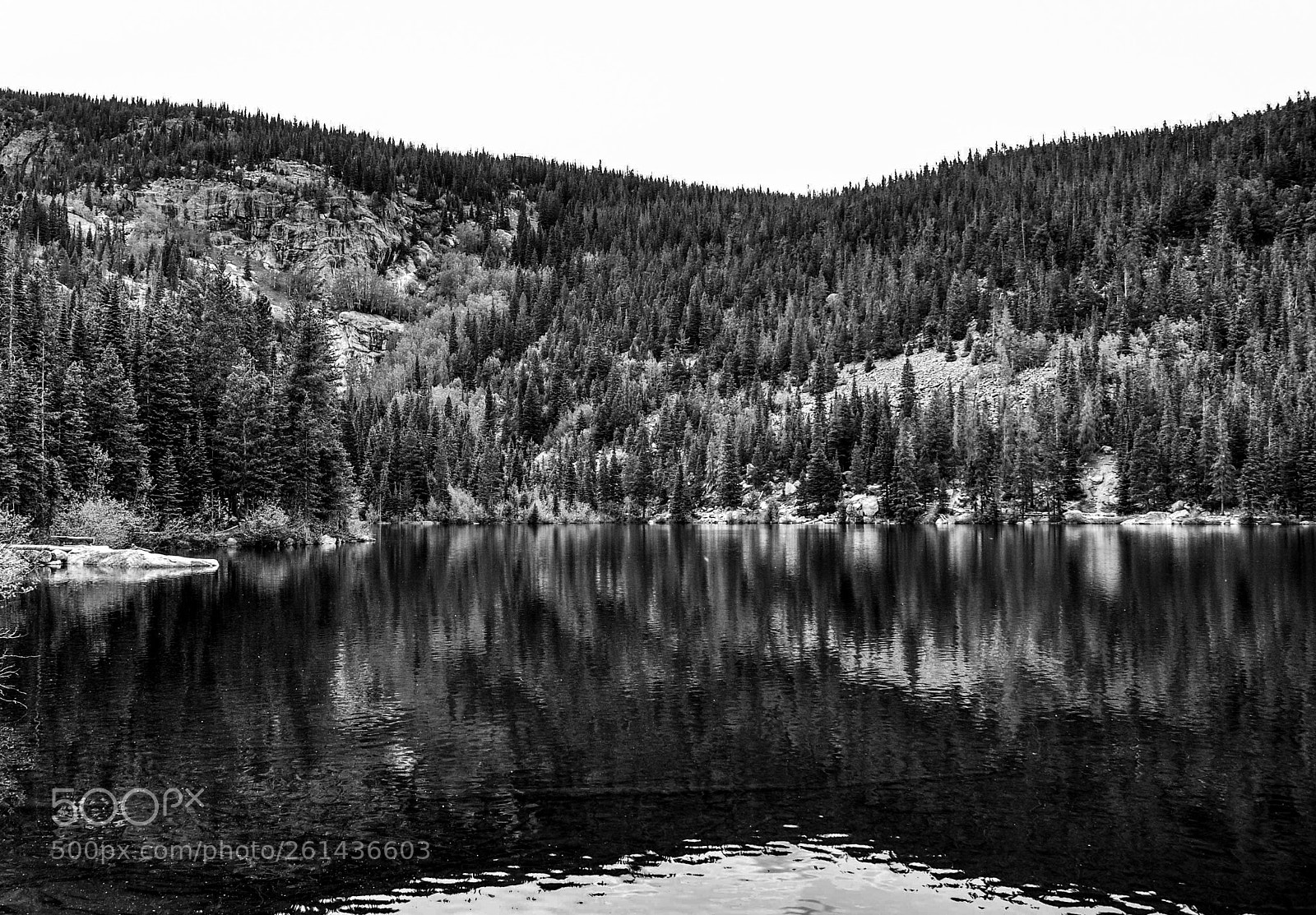 Nikon D90 sample photo. Bear lake photography