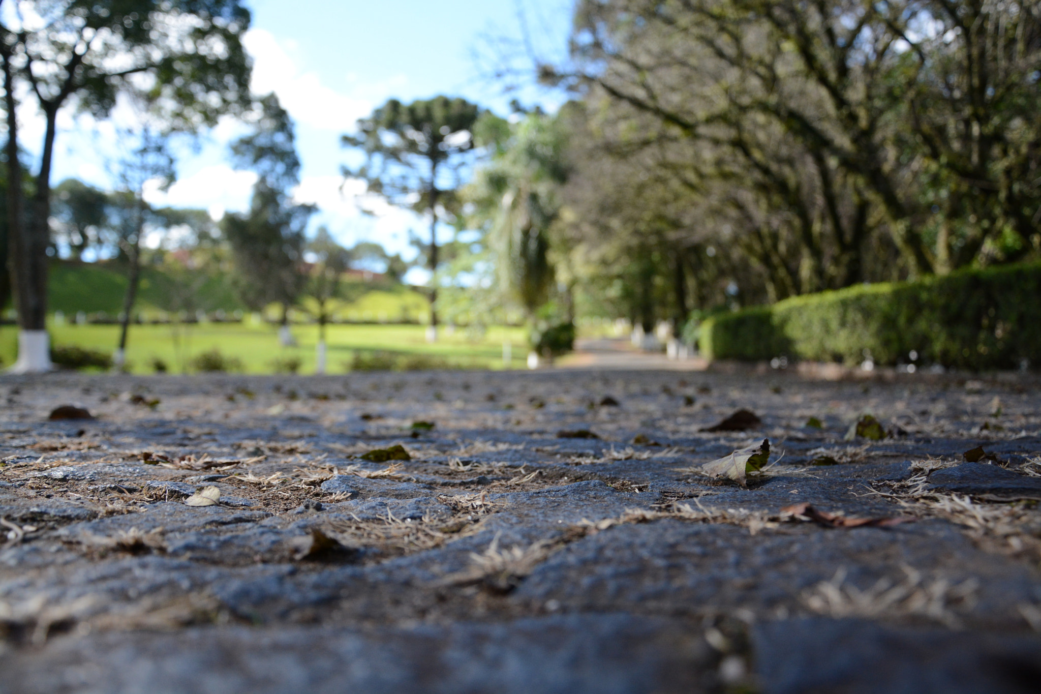Nikon D7100 sample photo. Top photography