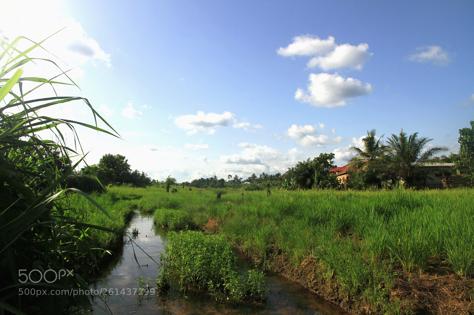 Canon EOS 7D sample photo. Nature is beautiful photography
