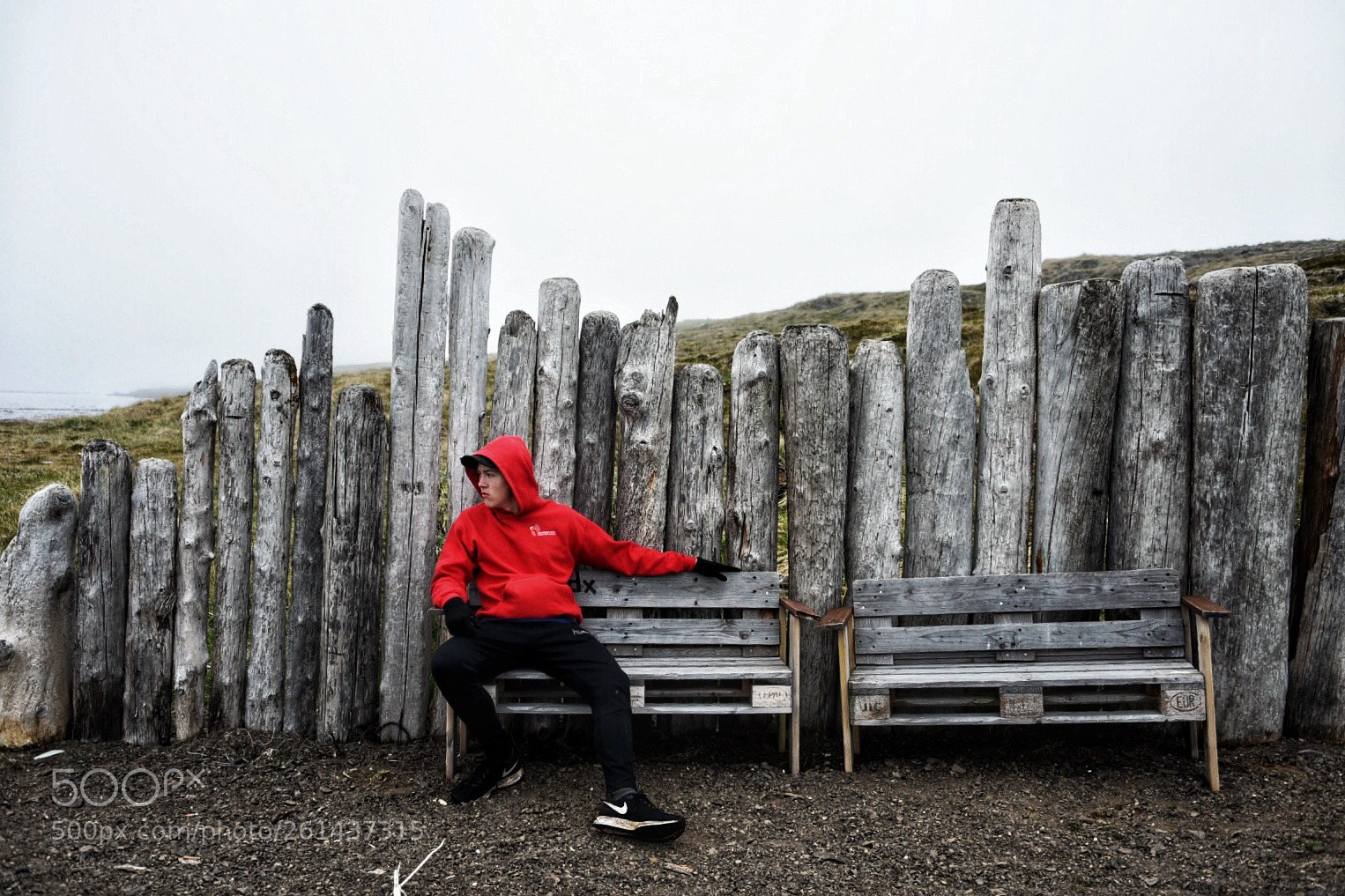 Nikon D750 sample photo. Untitled photography