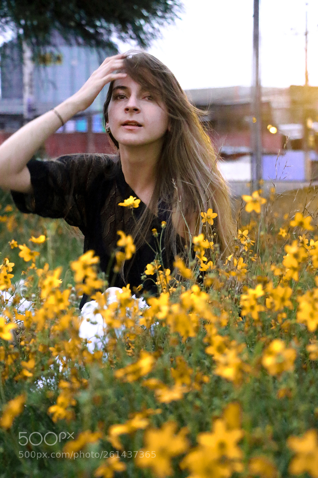 Canon EOS 70D sample photo. Amarillo photography