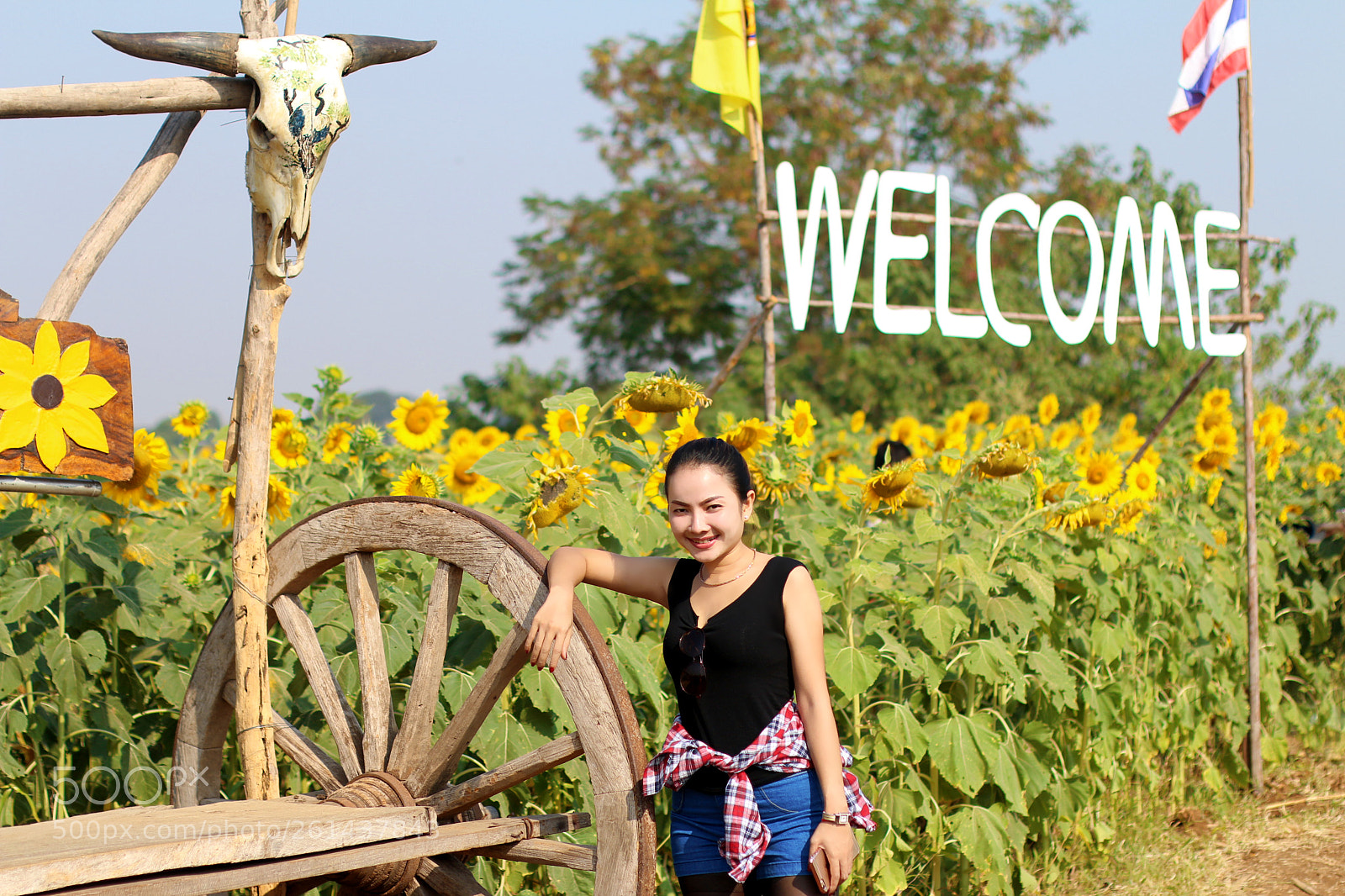 Canon EOS 70D sample photo. Img photography