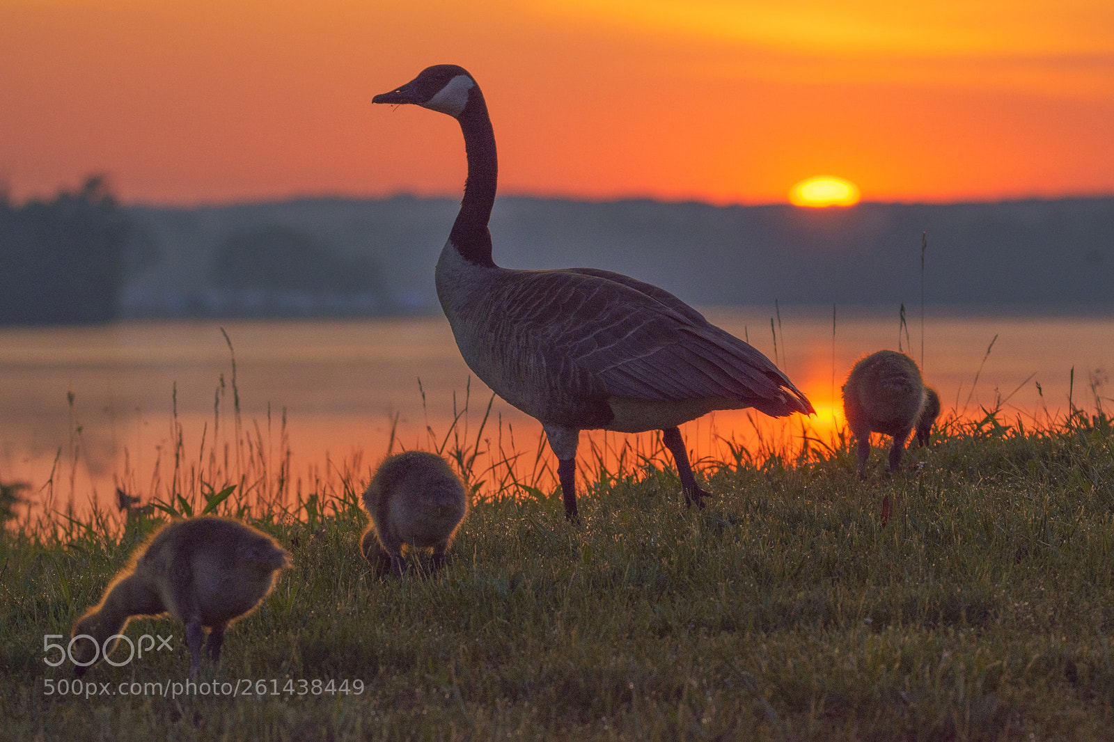 Nikon D7200 sample photo. At sunrise photography