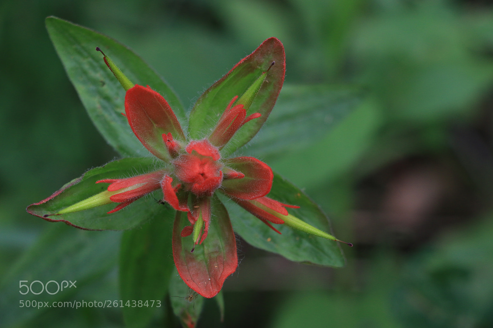 Canon EOS 70D sample photo. 2016101 photography