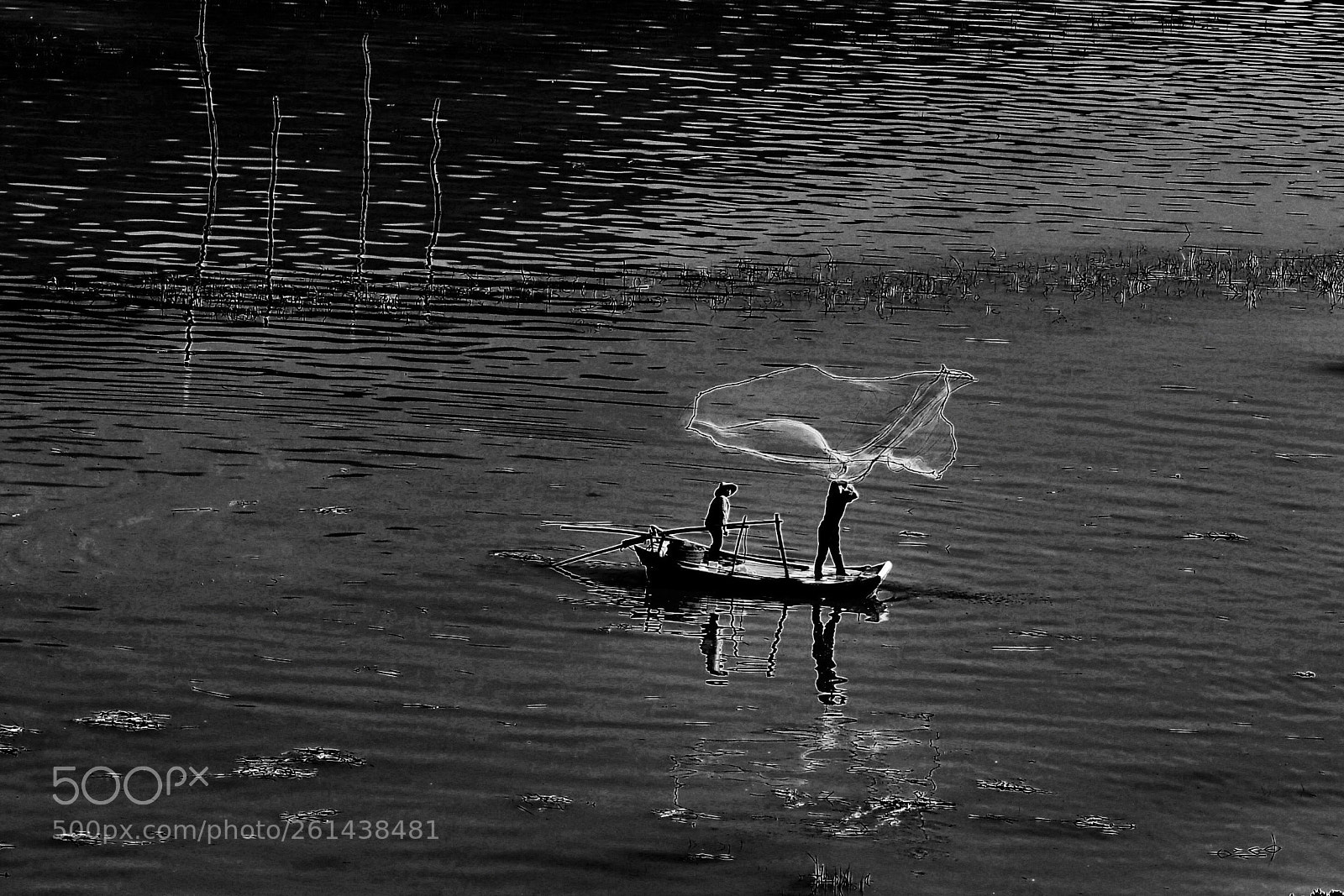 Nikon D5 sample photo. Flying fish net photography