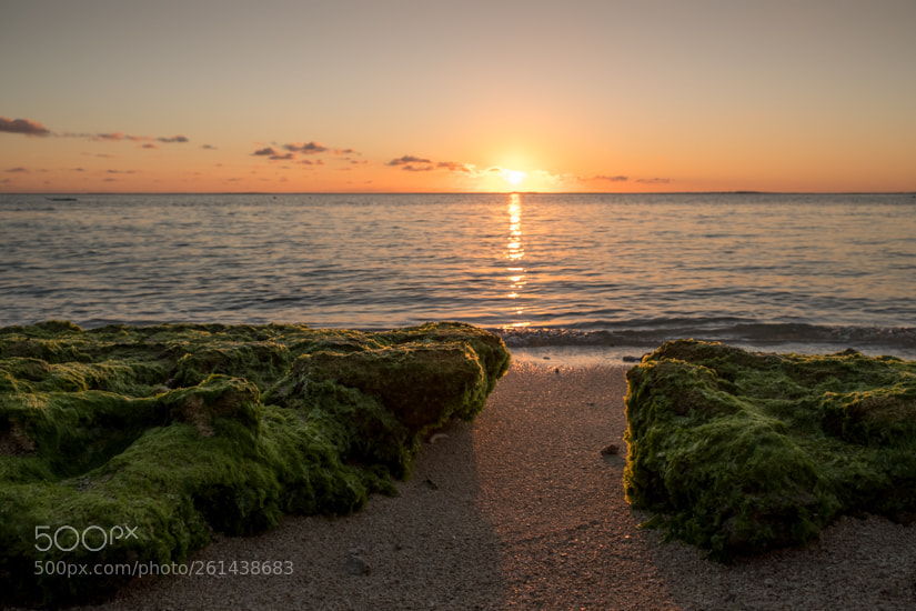 Fujifilm X-T2 sample photo. Sunset at mauritius photography