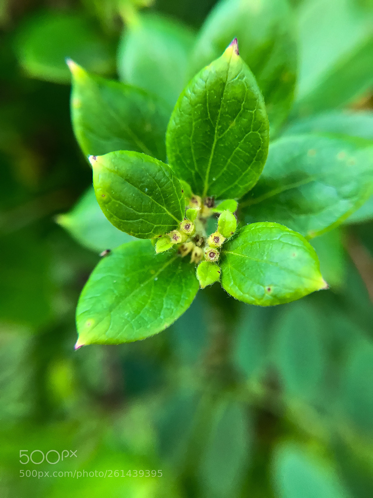 Apple iPhone 7 Plus sample photo. Untitled photography