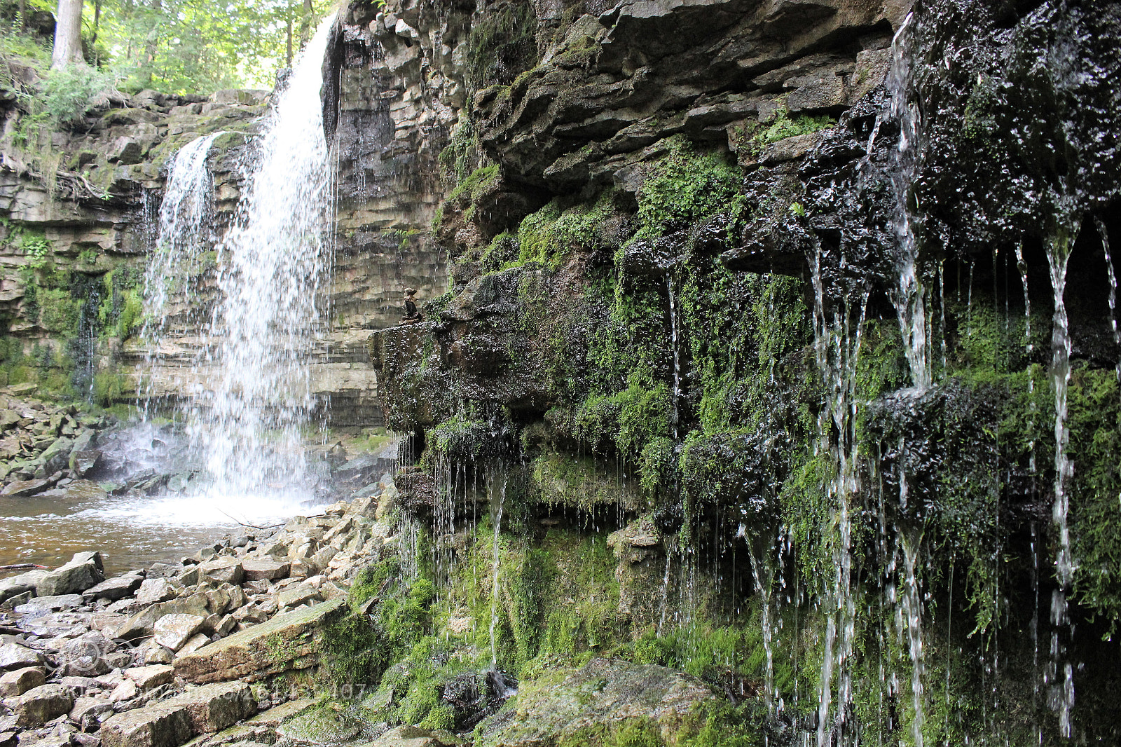 Canon EOS 600D (Rebel EOS T3i / EOS Kiss X5) sample photo. Water wall photography