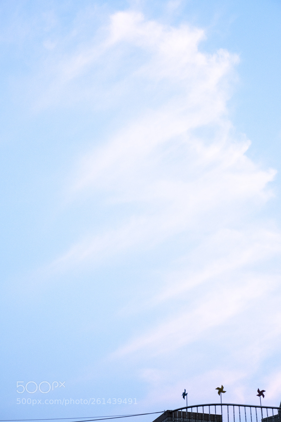 Nikon D810 sample photo. Lookup  no.13 photography