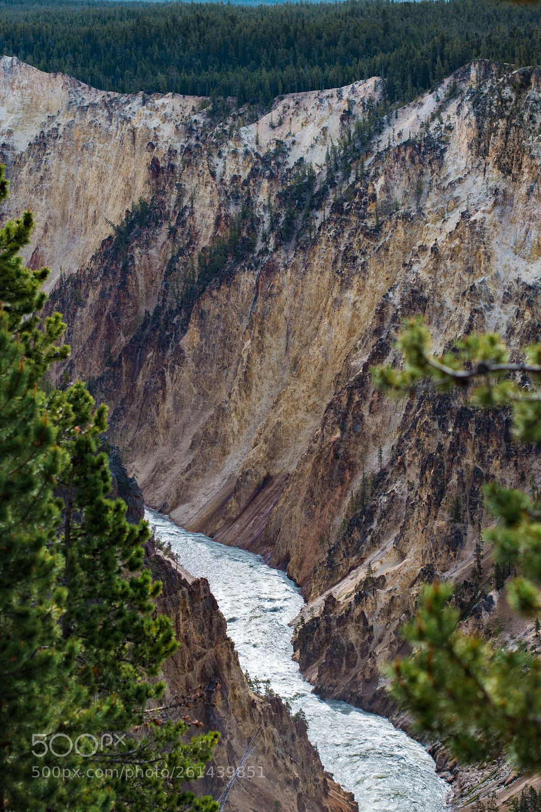 Nikon D5600 sample photo. Grand yellowstone photography