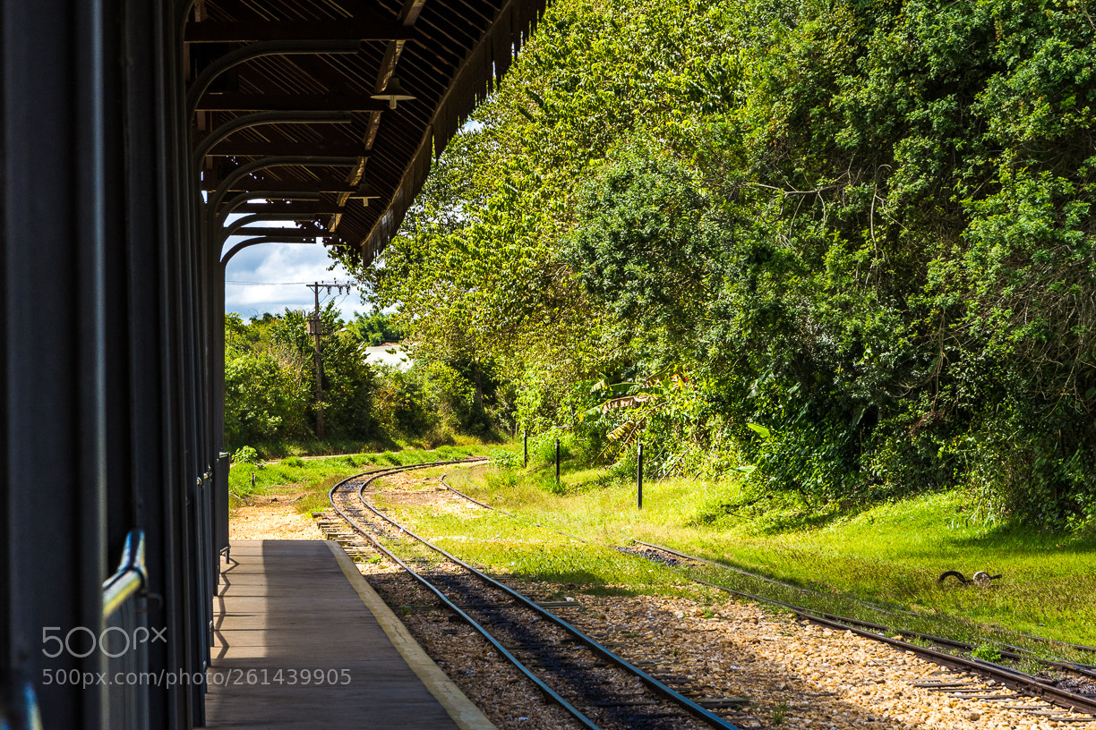 Nikon D7200 sample photo. Estação de trem photography