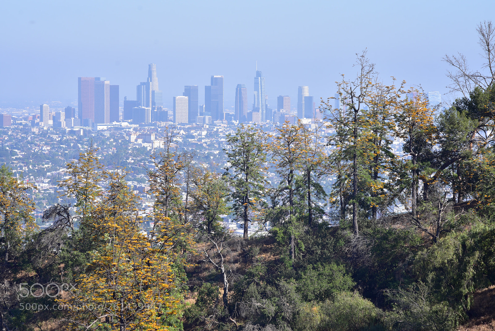 Nikon D750 sample photo. La downtown photography