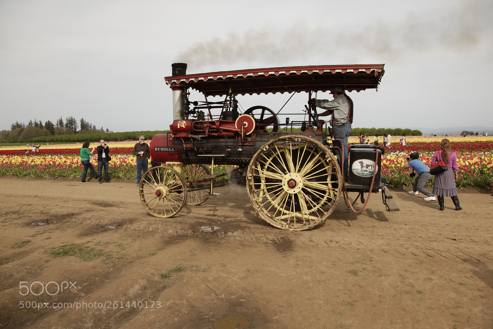 Canon EF 24-105mm F4L IS USM sample photo. Mg photography