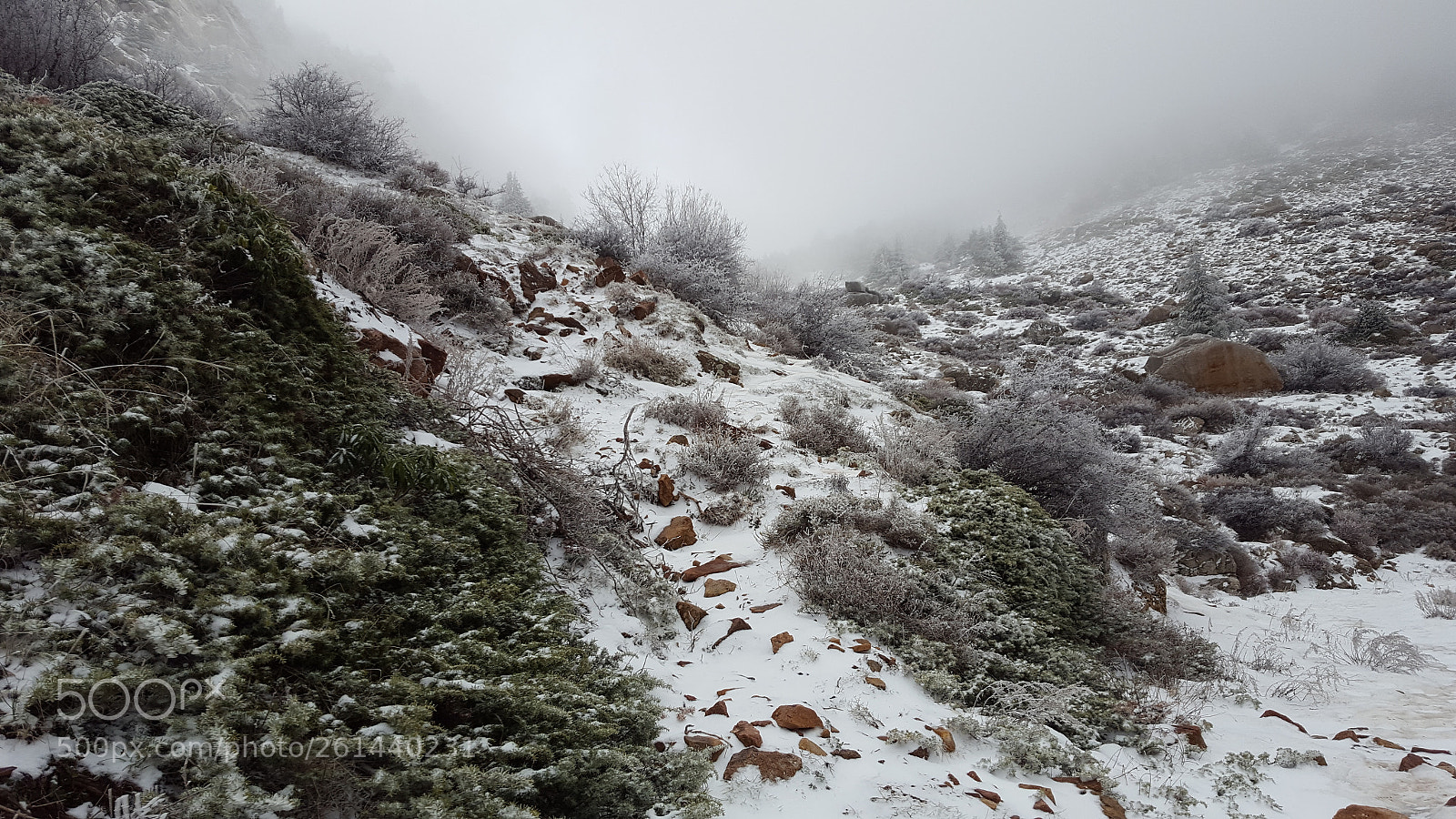 Samsung Galaxy S6 sample photo. 20170109_135521.jpg photography
