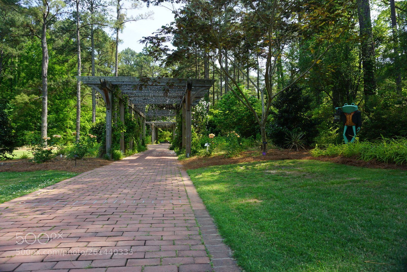 Sony a6000 sample photo. The path photography