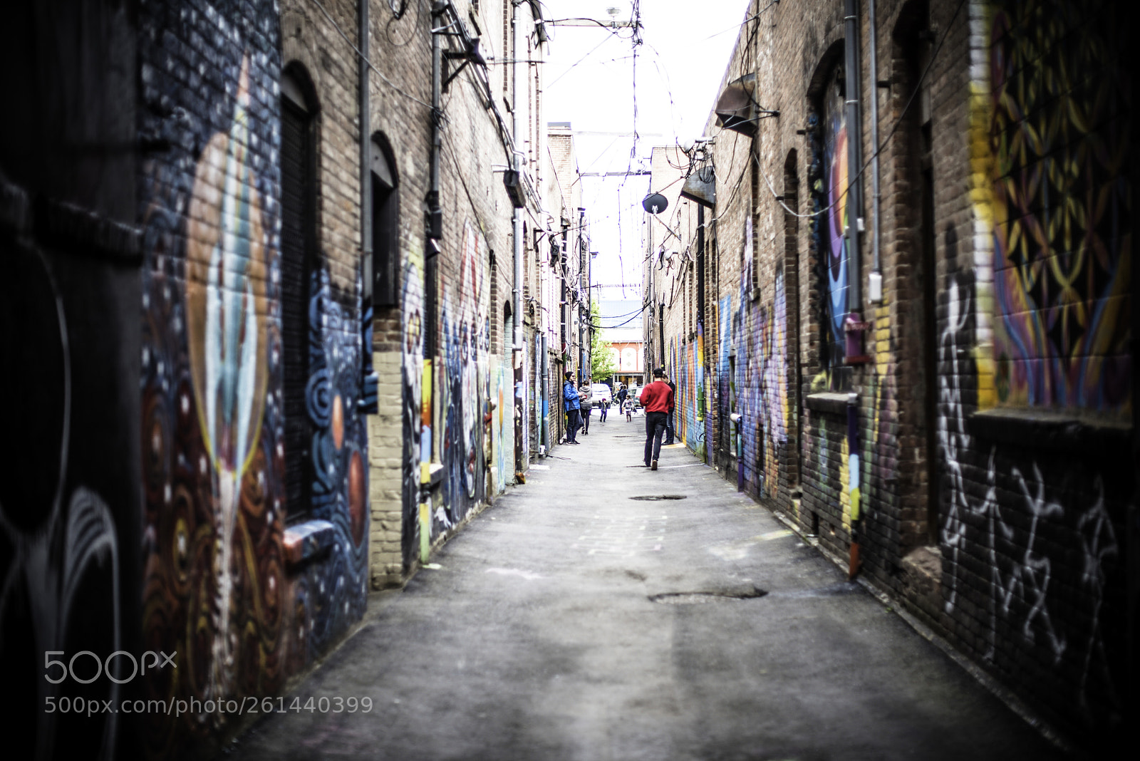 Nikon D810 sample photo. The passage to the photography