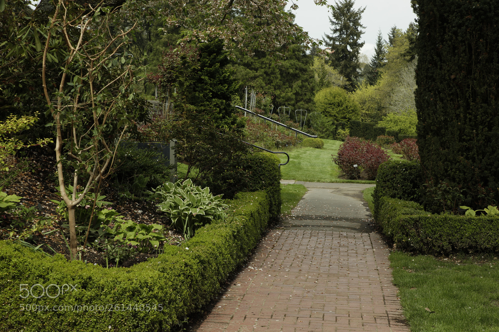 Canon EF 24-105mm F4L IS USM sample photo. Mg photography