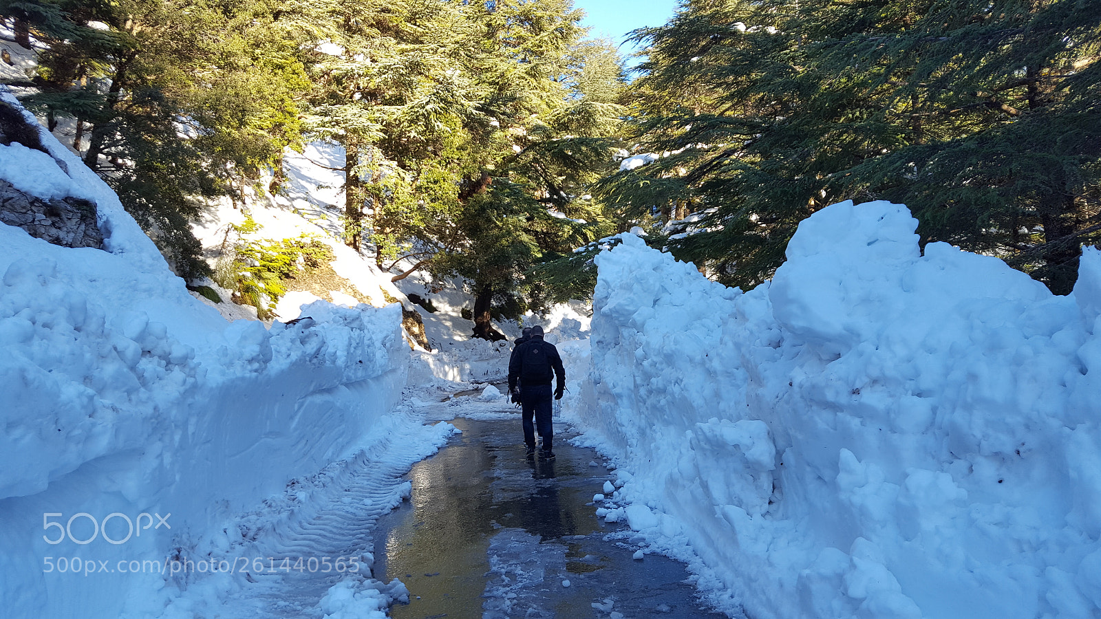 Samsung Galaxy S6 sample photo. 20170131_164013.jpg photography