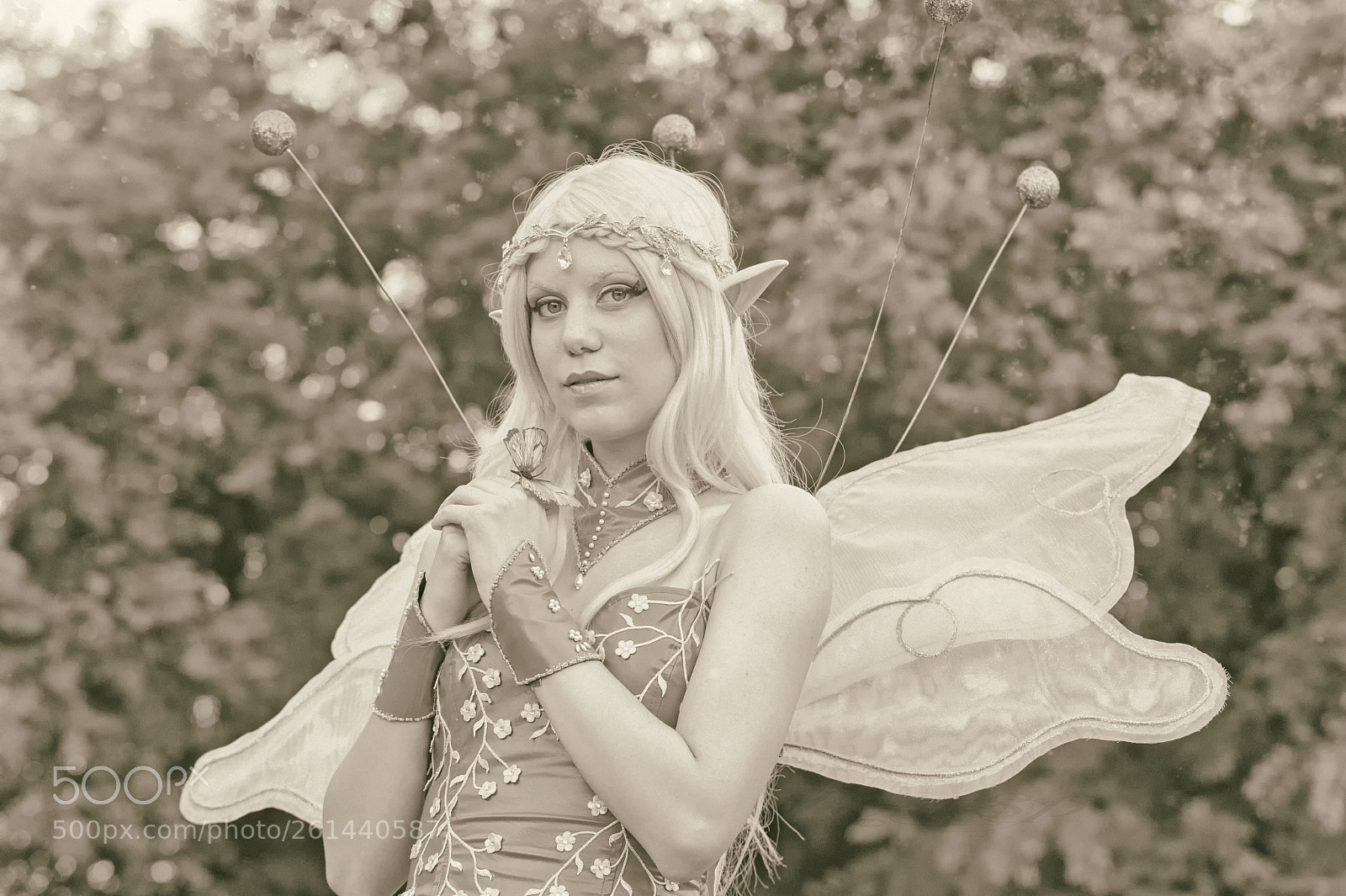 Nikon D700 sample photo. Festa delle fate photography