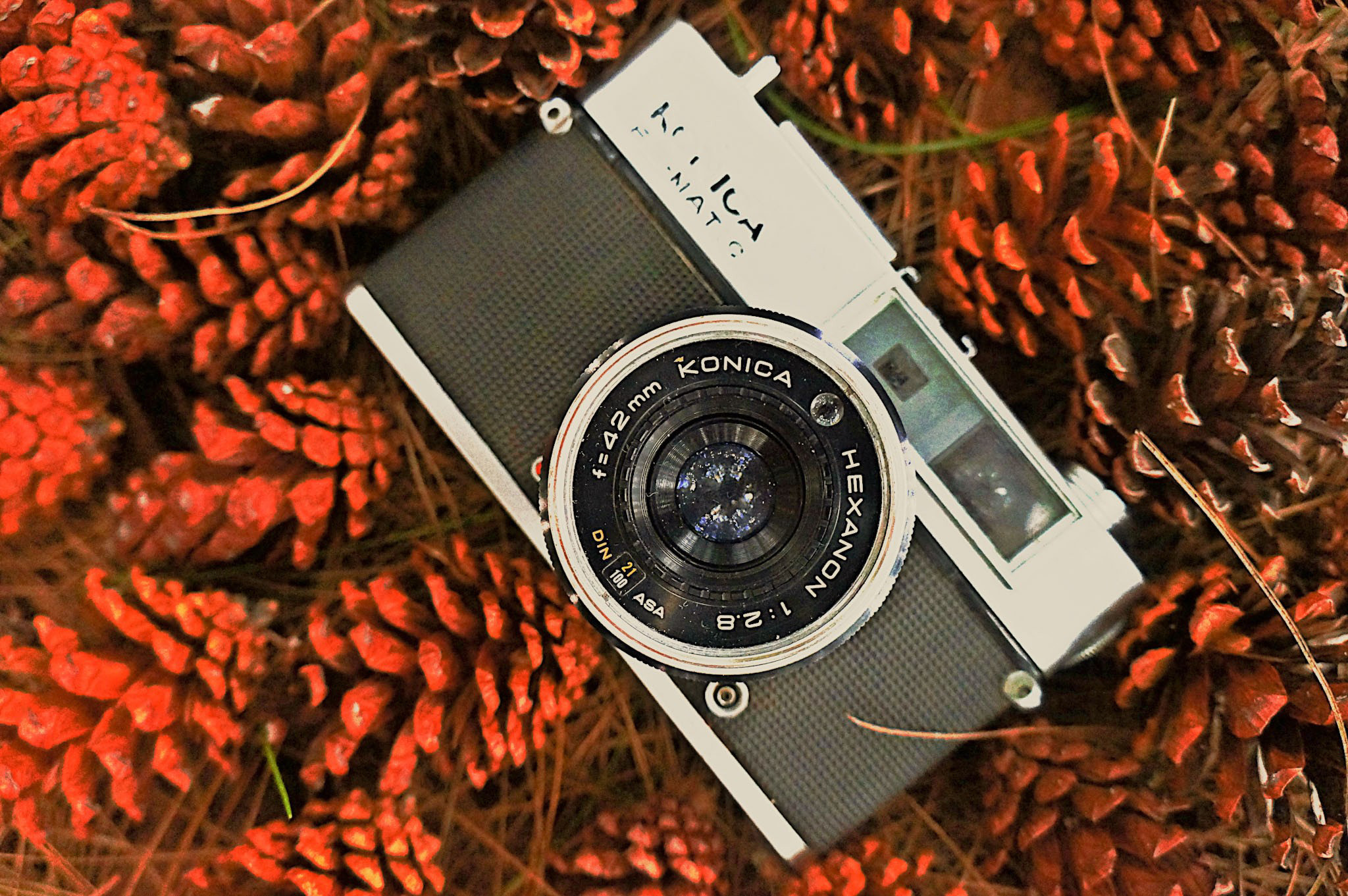 Sony Alpha NEX-5N sample photo. Old cam photography