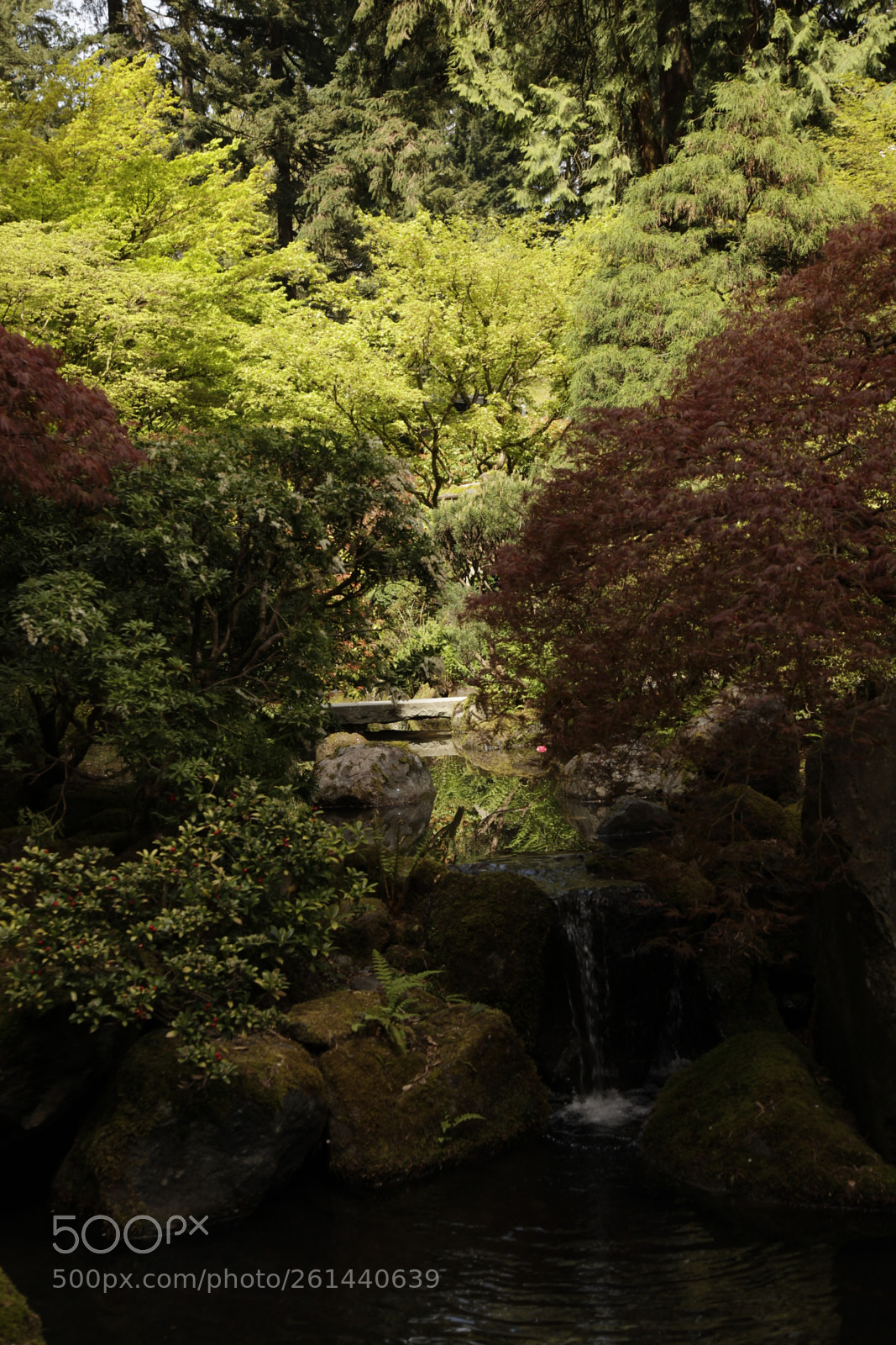 Canon EF 24-105mm F4L IS USM sample photo. Mg photography