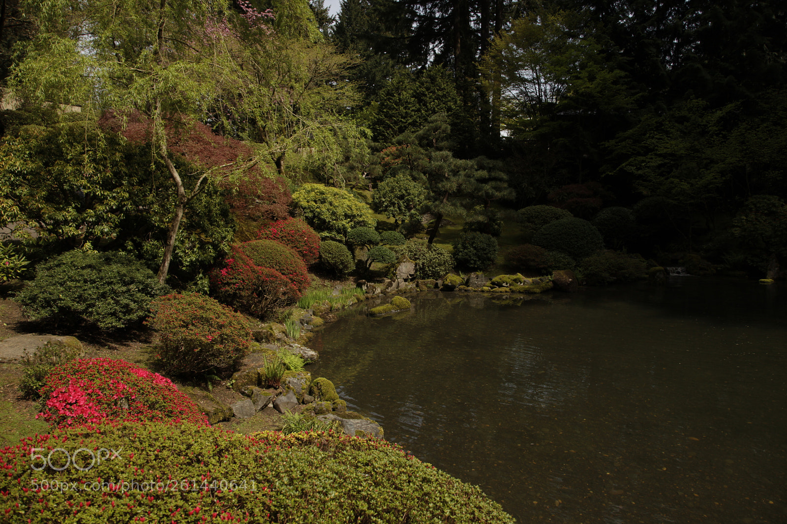 Canon EF 24-105mm F4L IS USM sample photo. Mg photography