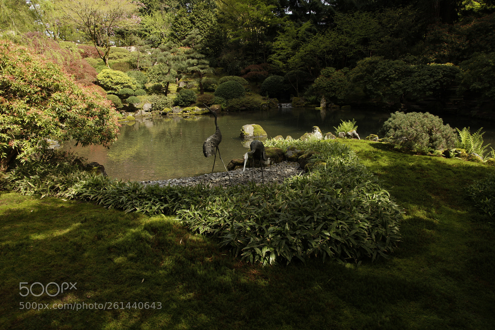 Canon EF 24-105mm F4L IS USM sample photo. Mg photography