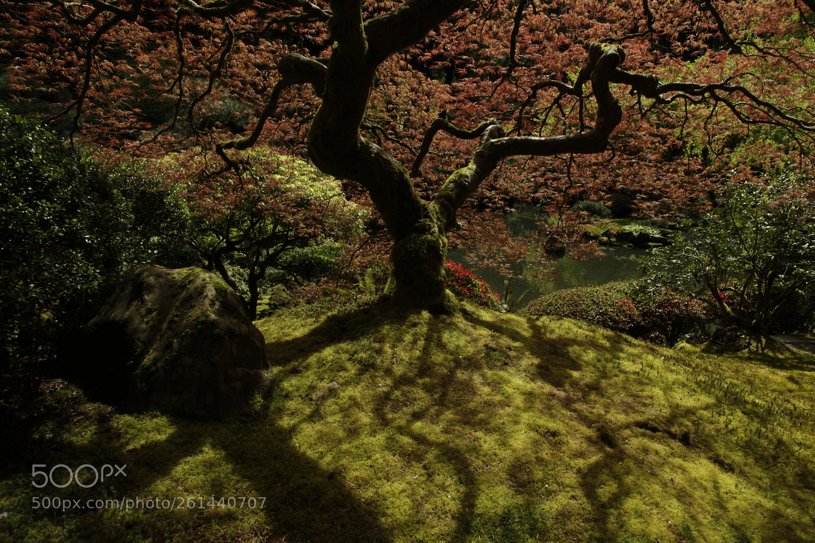 Canon EF 24-105mm F4L IS USM sample photo. Mg photography