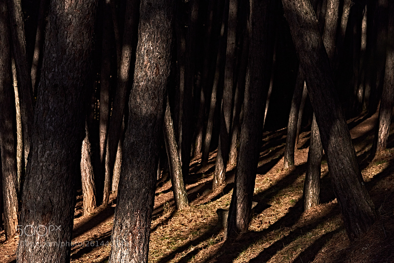Nikon D750 sample photo. Routes to hell photography
