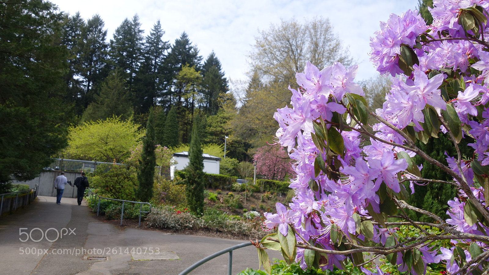 Sony Cyber-shot DSC-RX100 II sample photo. Dsc photography