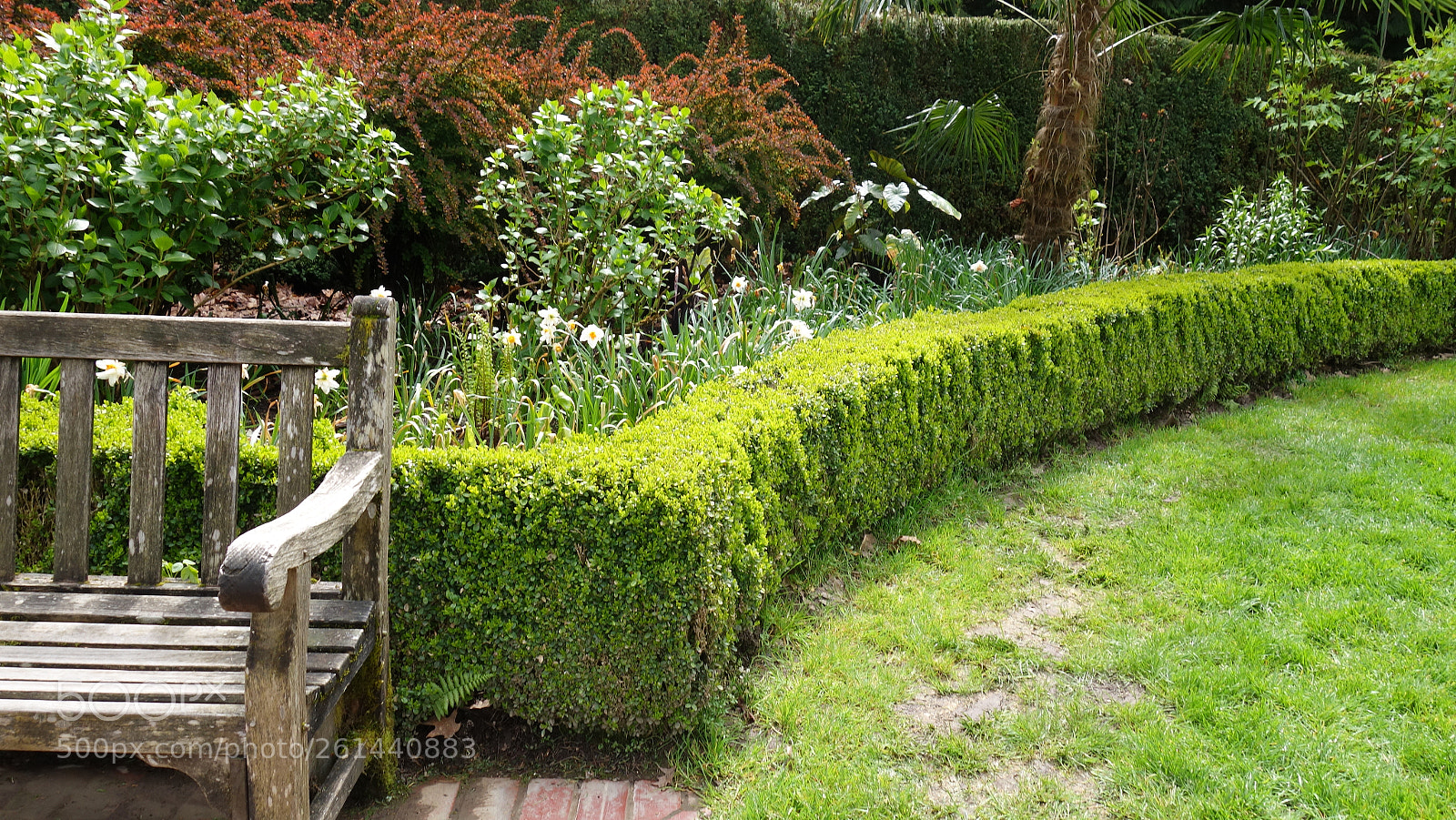 Sony Cyber-shot DSC-RX100 II sample photo. Dsc photography