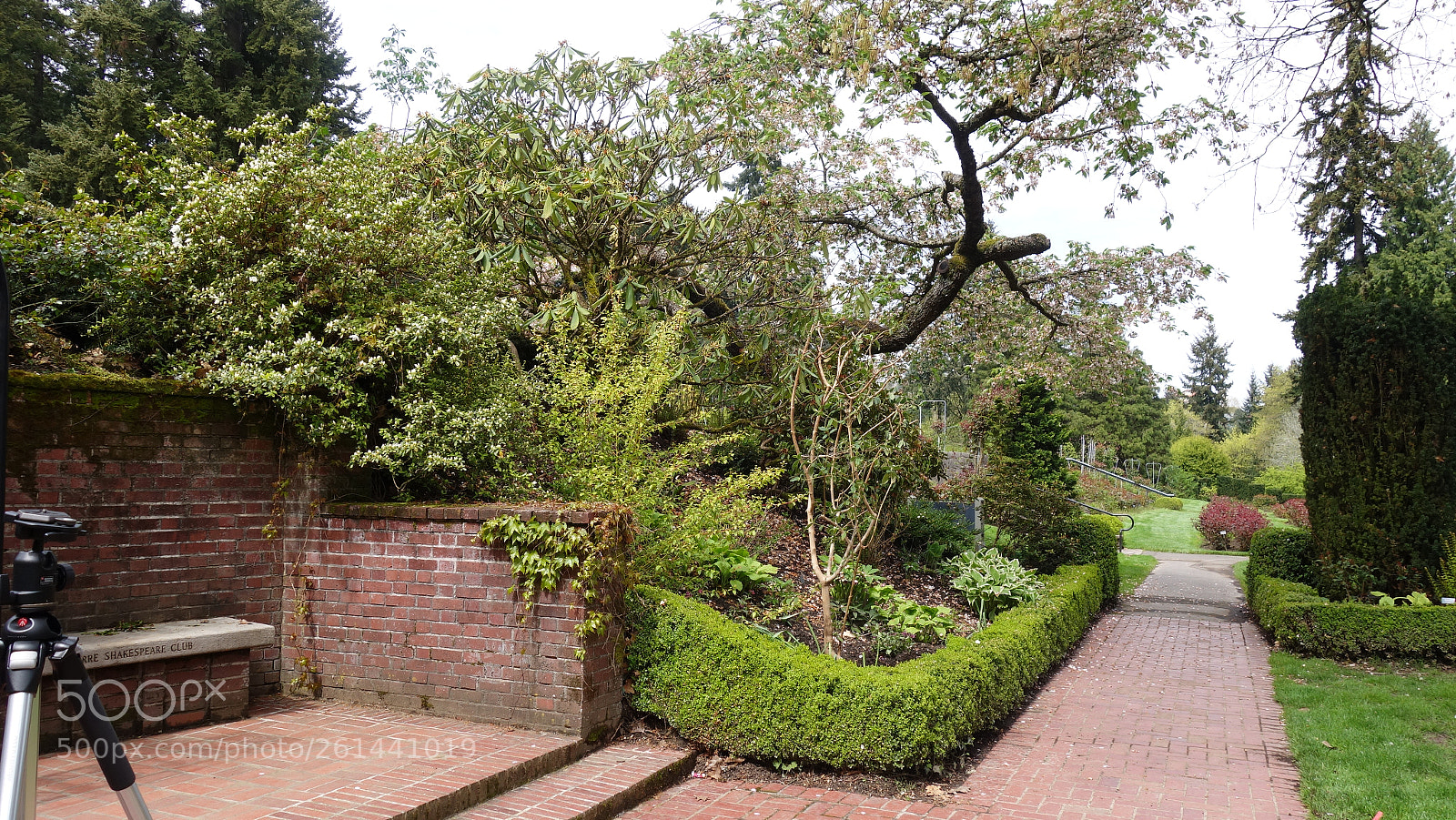 Sony Cyber-shot DSC-RX100 II sample photo. Dsc photography