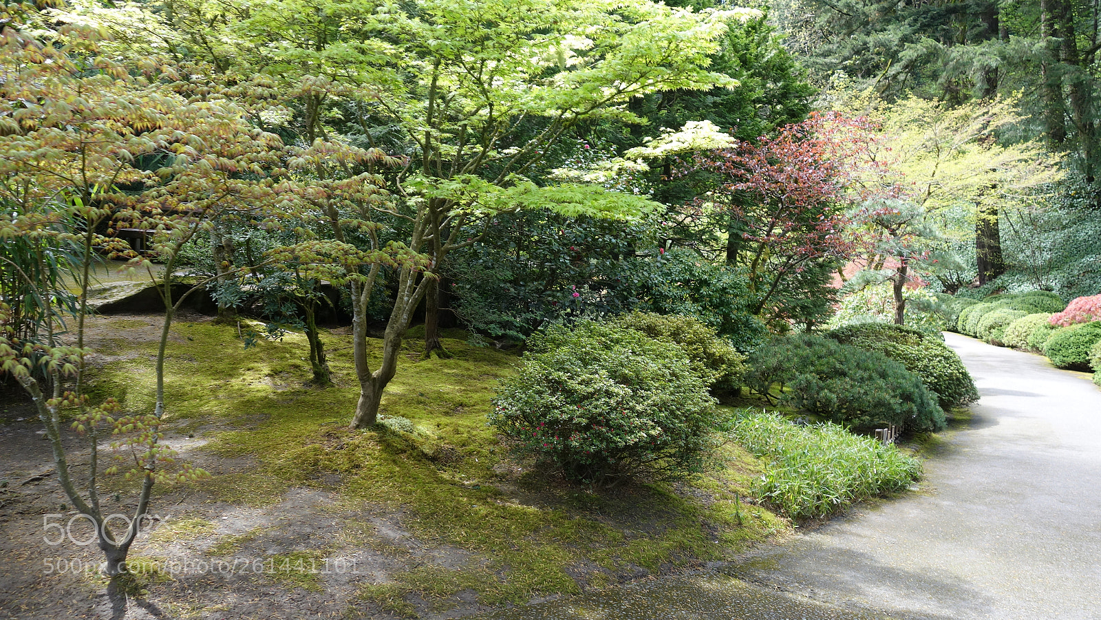 Sony Cyber-shot DSC-RX100 II sample photo. Dsc photography