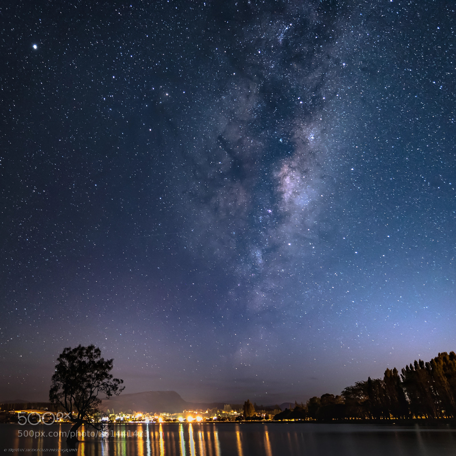 Nikon D750 sample photo. Milky way tree photography