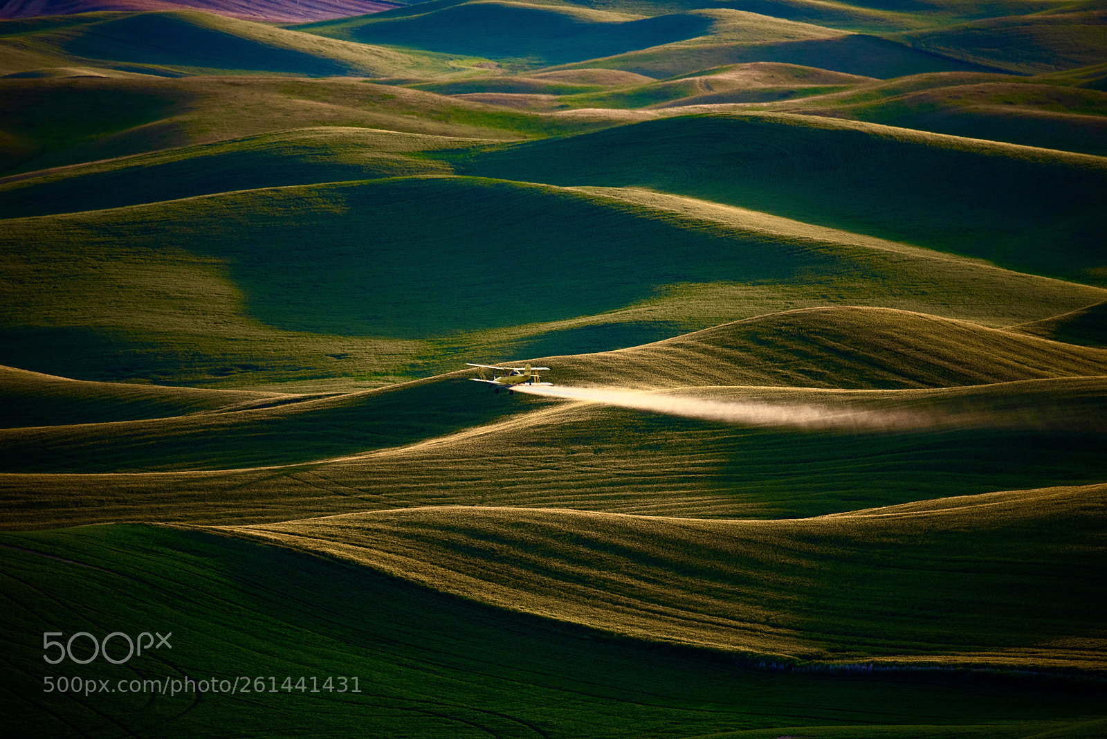 Nikon D810 sample photo. Palouse sunrise dance photography