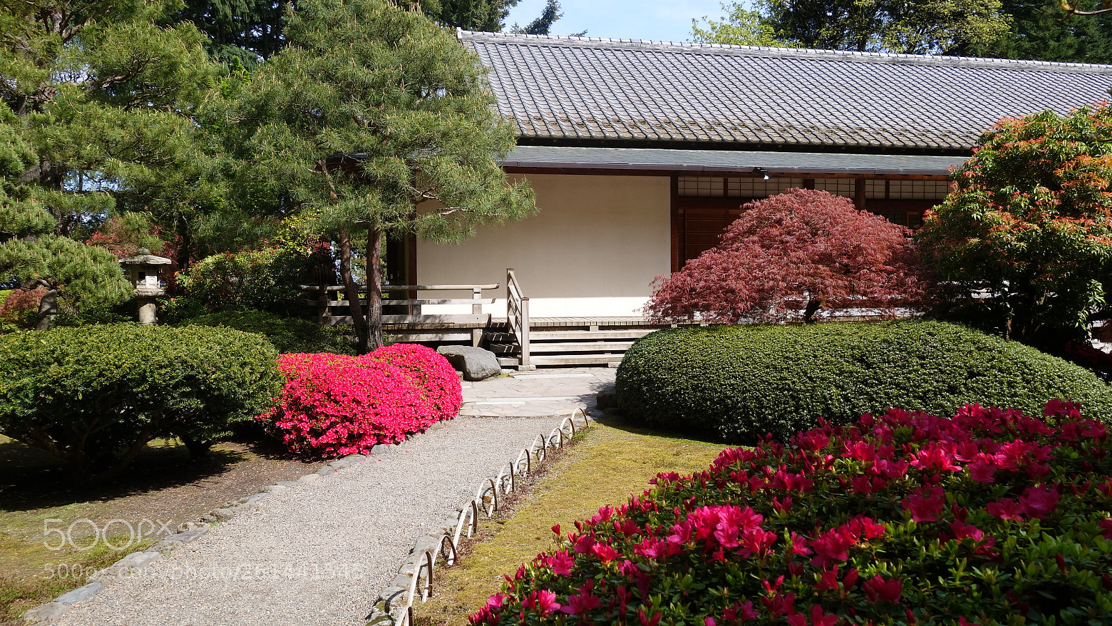 Sony Cyber-shot DSC-RX100 II sample photo. Dsc photography