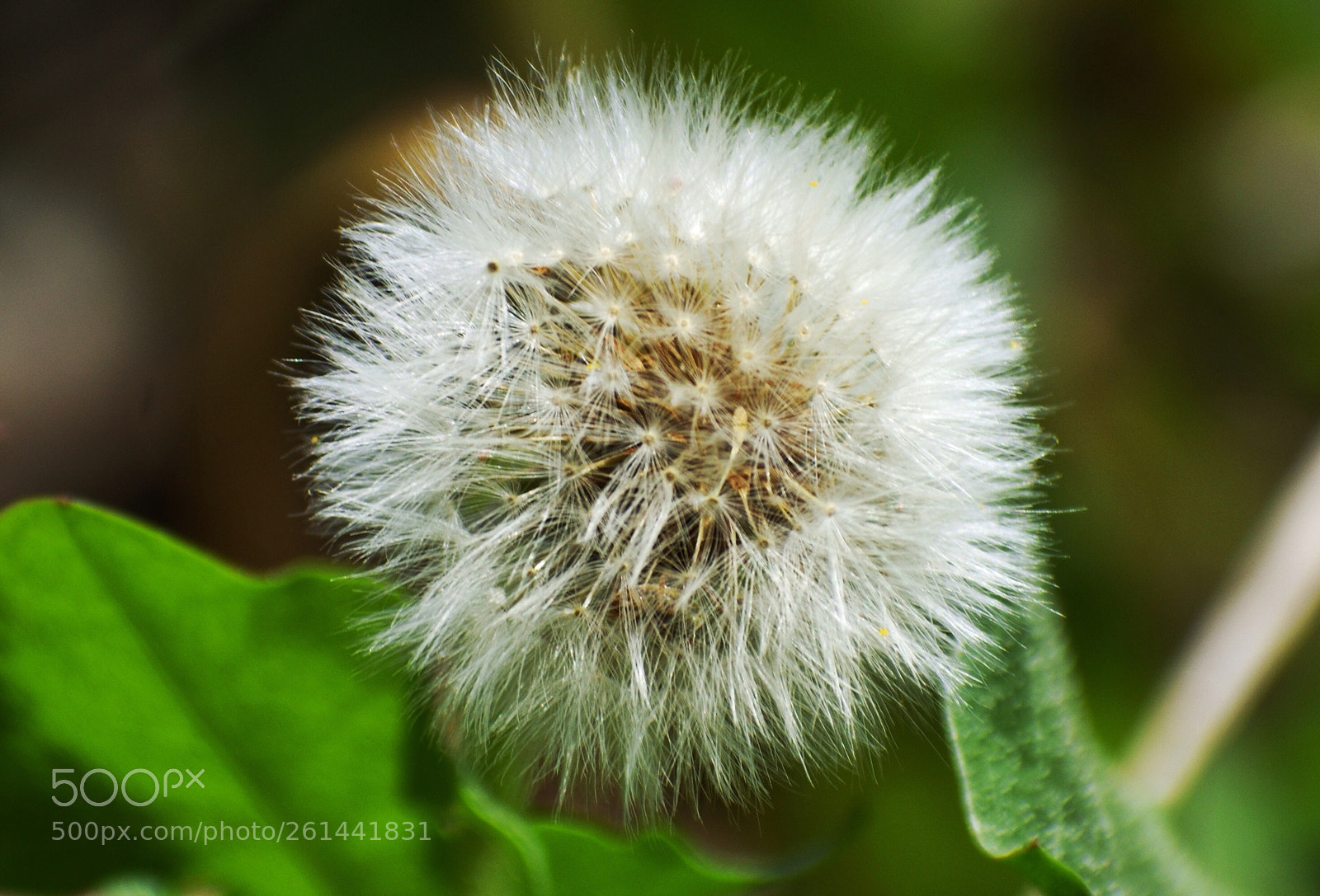Nikon D3400 sample photo. Untitled photography