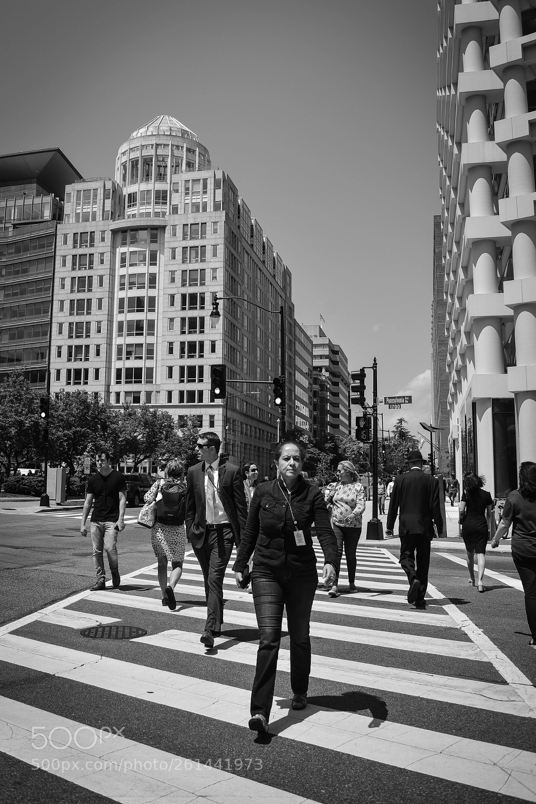 Nikon D610 sample photo. Crossing the stripes photography