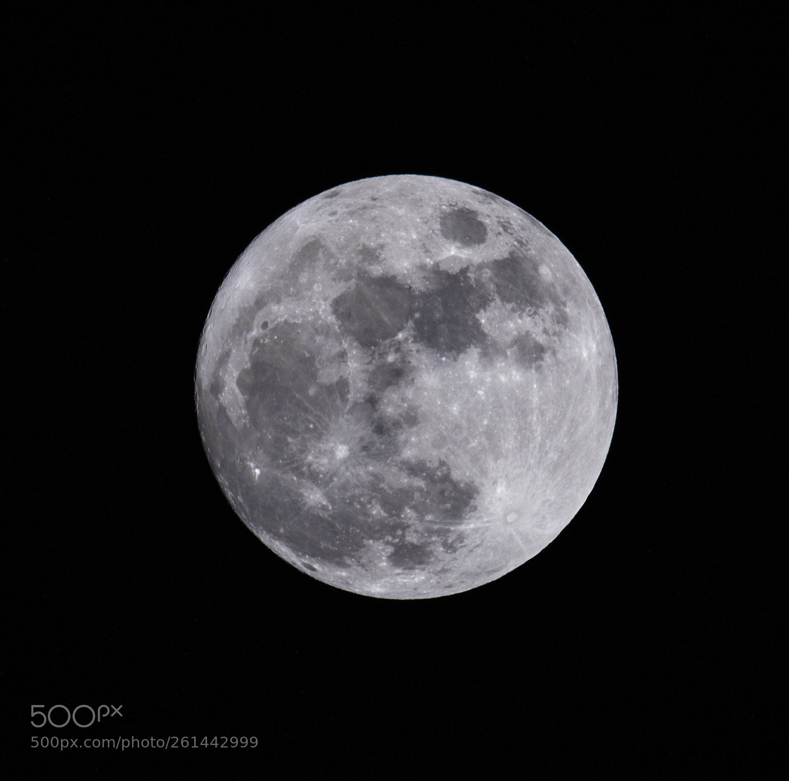 Nikon D810 sample photo. La luna llena. photography