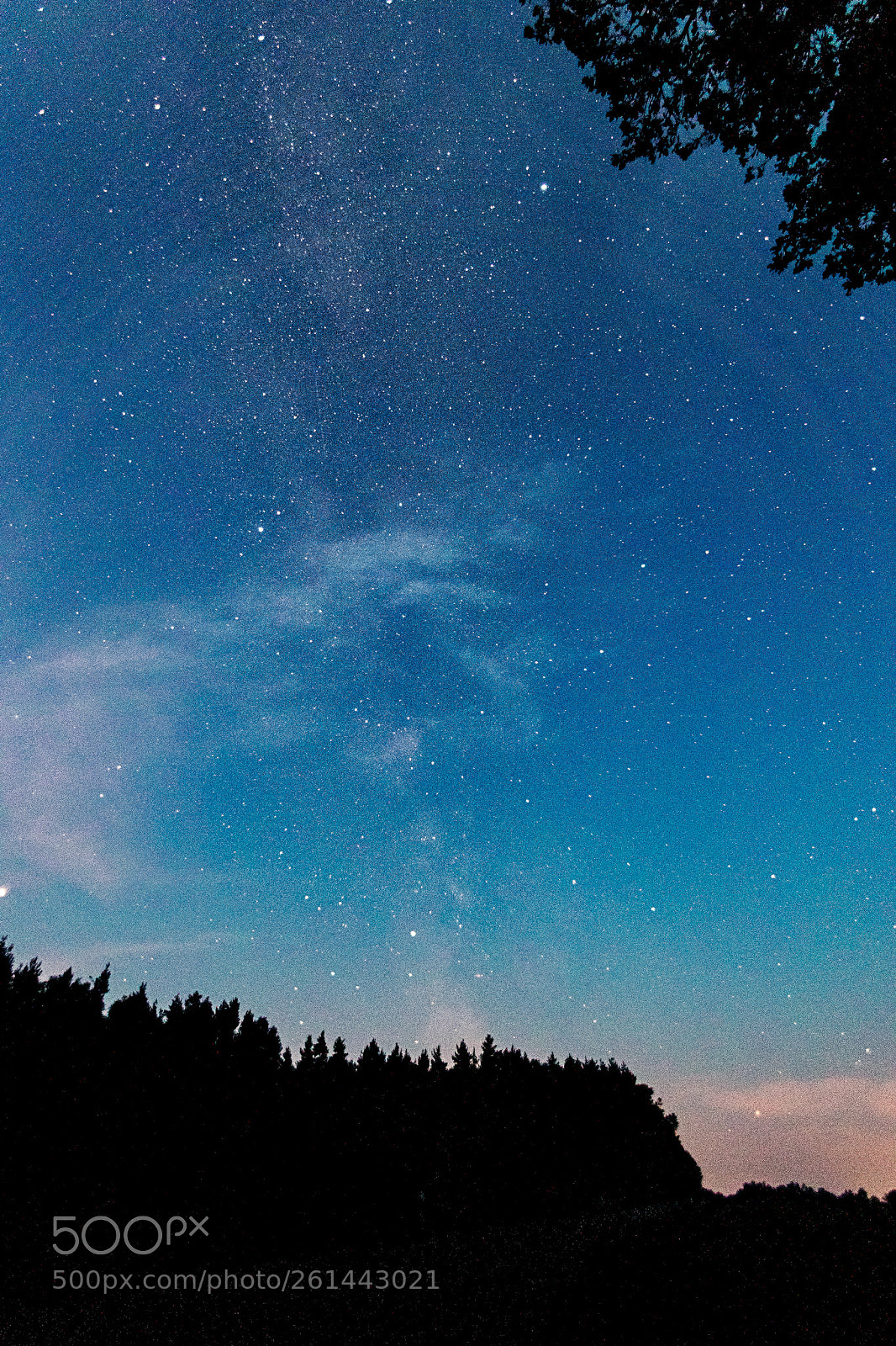 Canon EOS 80D sample photo. Galaxy ranger photography