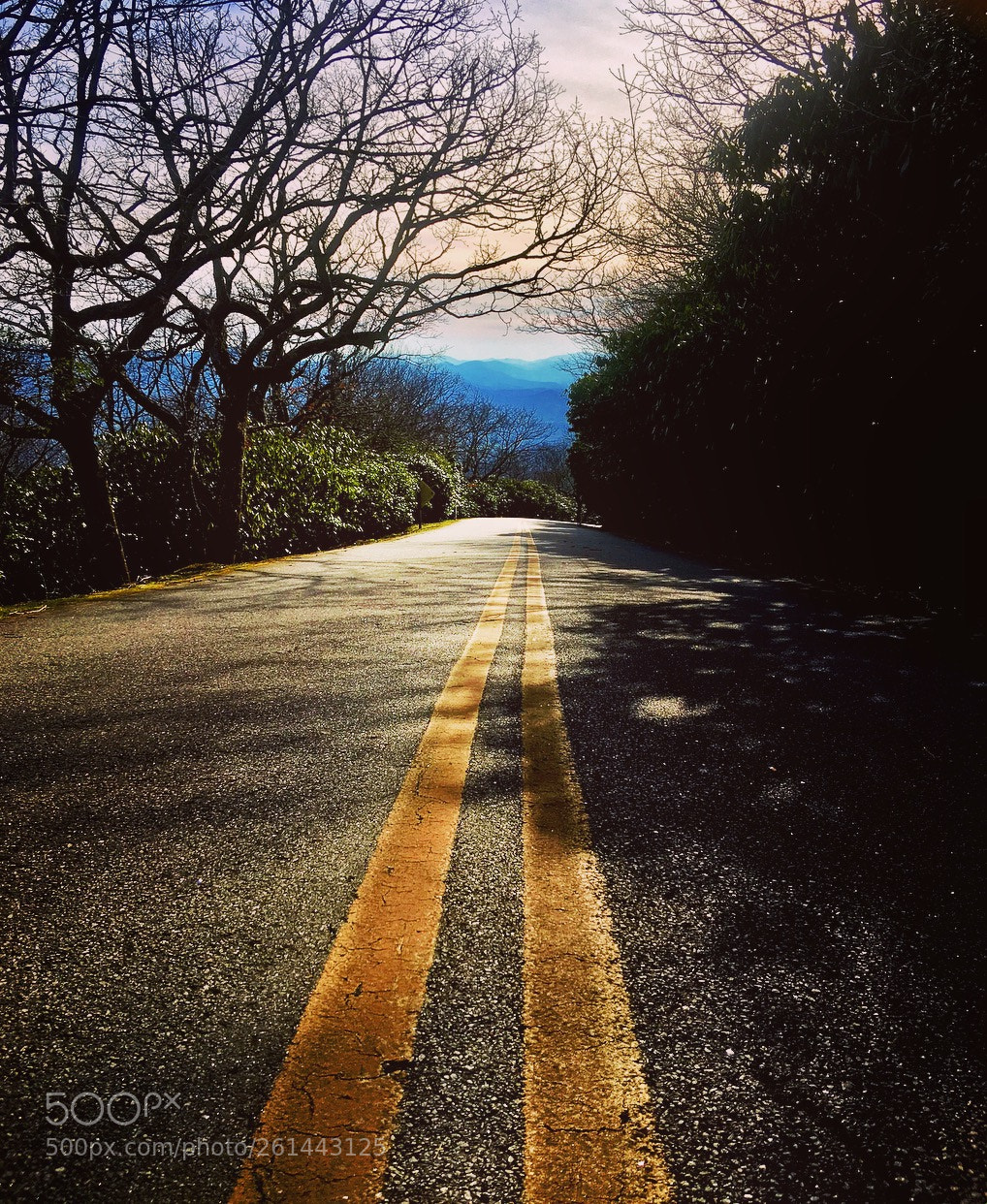 Apple iPhone 6s Plus sample photo. Ffb dafbedebdade photography
