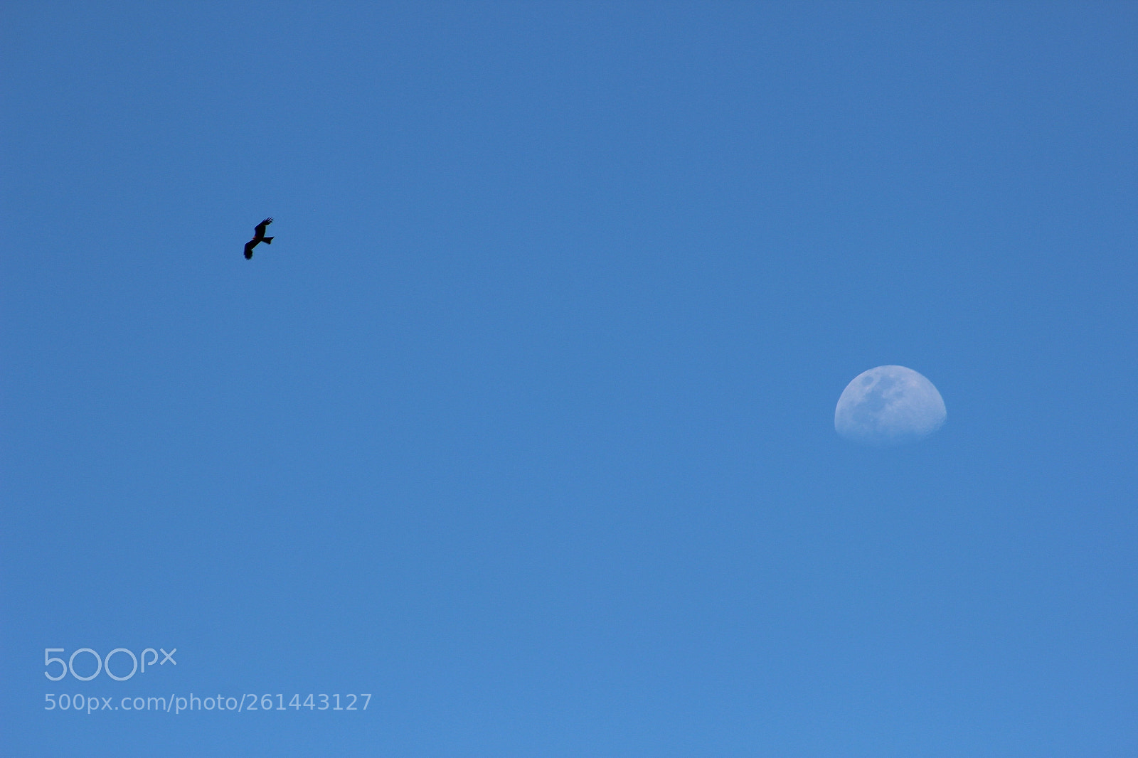Canon EOS 600D (Rebel EOS T3i / EOS Kiss X5) sample photo. Moon photography