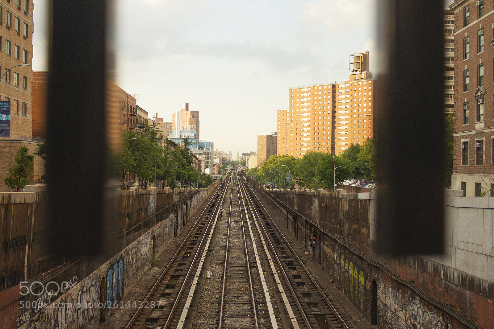 Canon EOS 600D (Rebel EOS T3i / EOS Kiss X5) sample photo. The morning commute photography