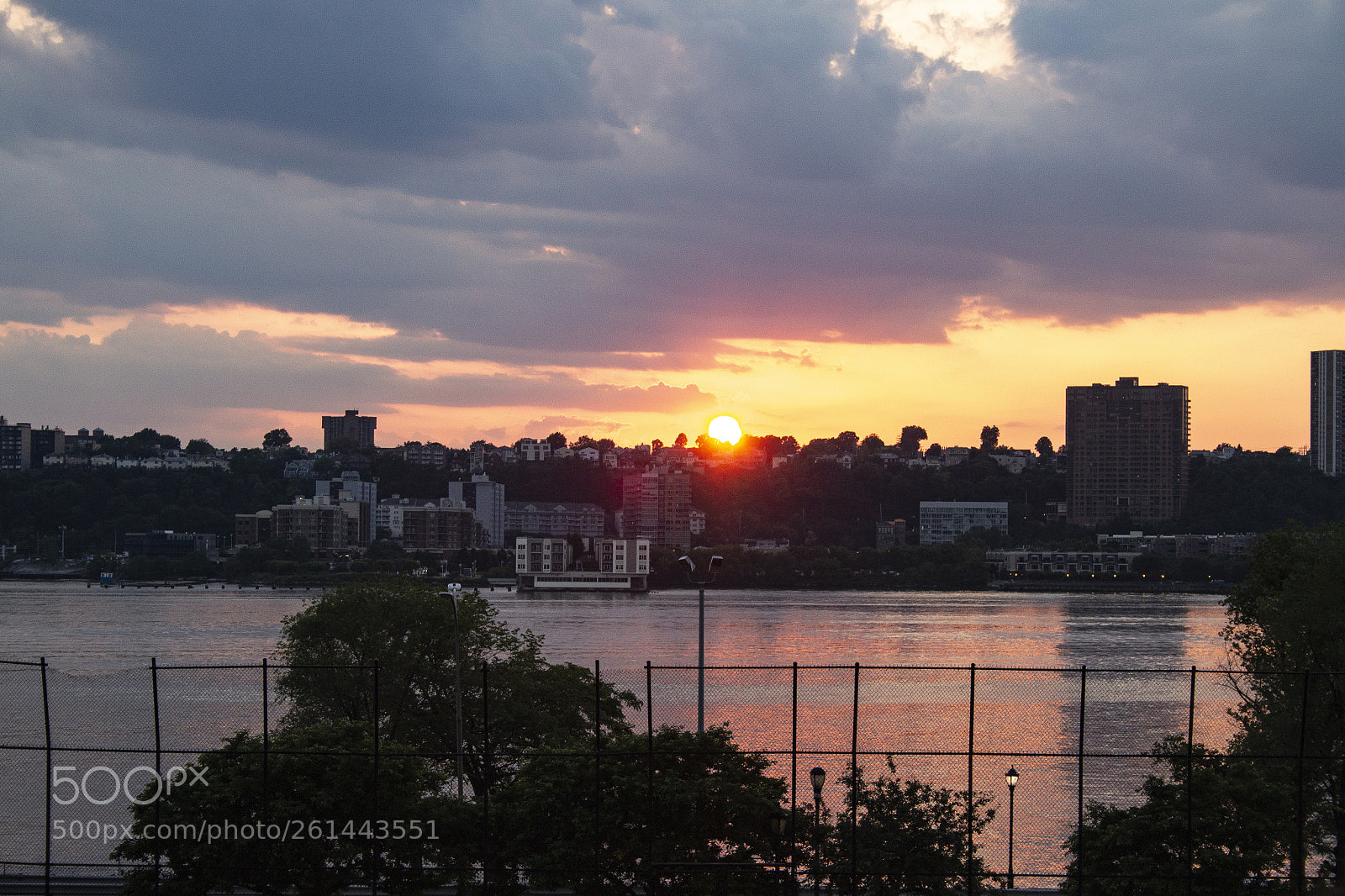 Canon EOS 600D (Rebel EOS T3i / EOS Kiss X5) sample photo. Peaking through photography