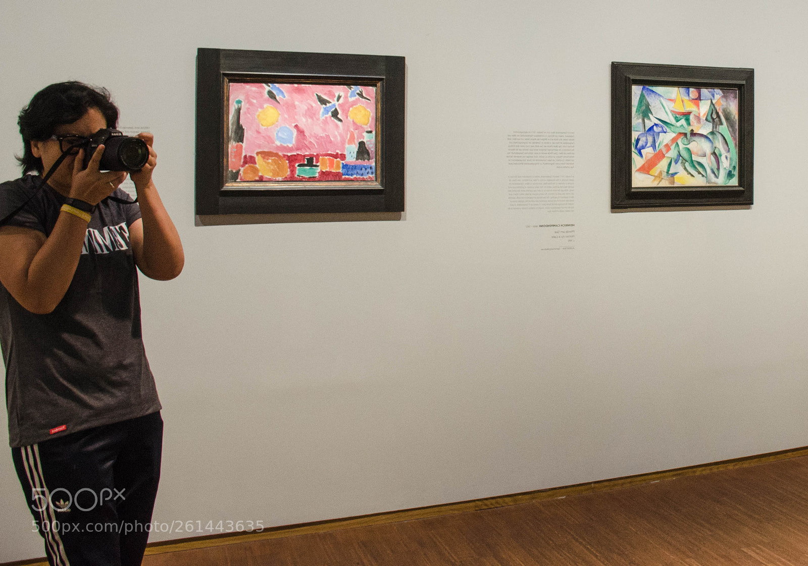 Nikon D5100 sample photo. En algún museo photography