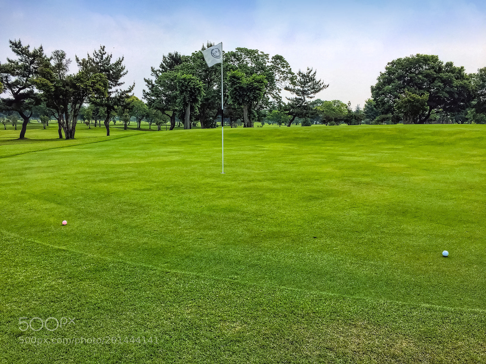 Apple iPhone 6 sample photo. Kamisato golf style 2... 上里ゴルフ photography