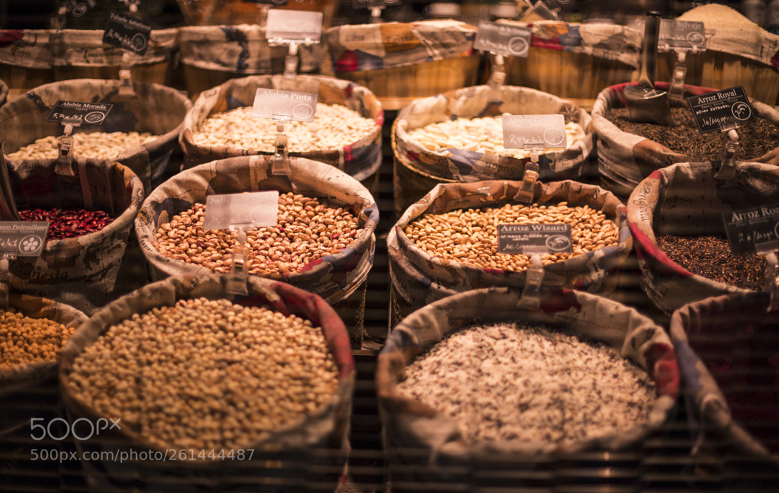 Canon EOS 6D Mark II sample photo. Untitled photography