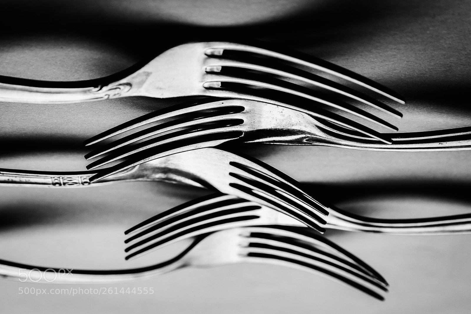 Nikon D7100 sample photo. Forks photography