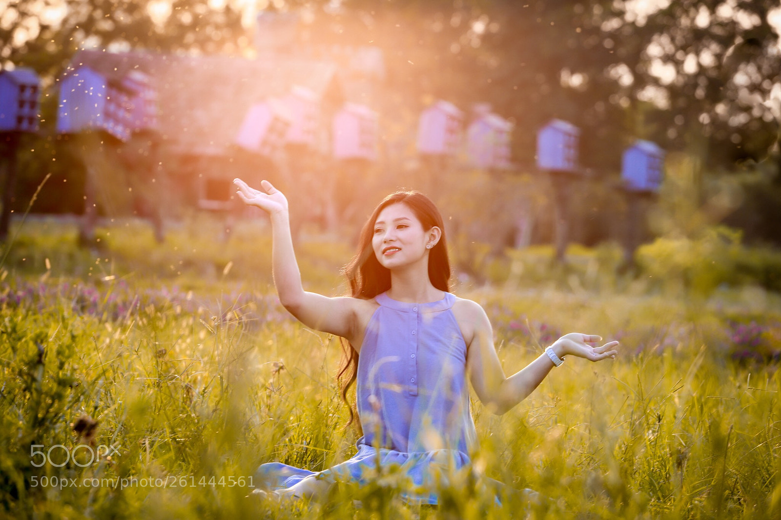 Canon EOS 6D Mark II sample photo. Untitled photography